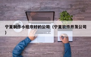 贵阳宁夏制作小程序好的公司（宁夏软件开发公司）